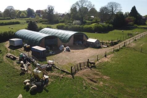 DJI_0956.JPG