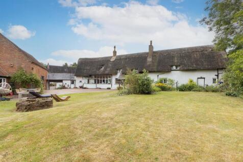 Greys Orchard, Barby