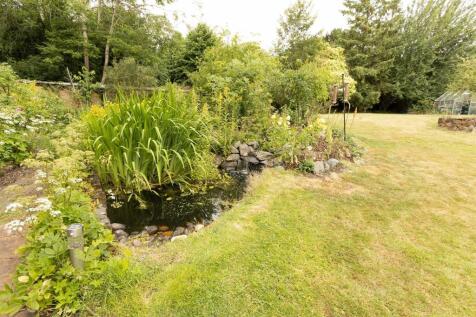 Greys Orchard, Barby