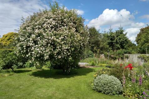 CTH Rambling Rector 2024.jpg