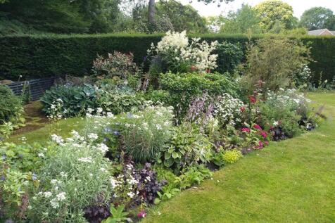 Lozenge Border July 2023.jpg