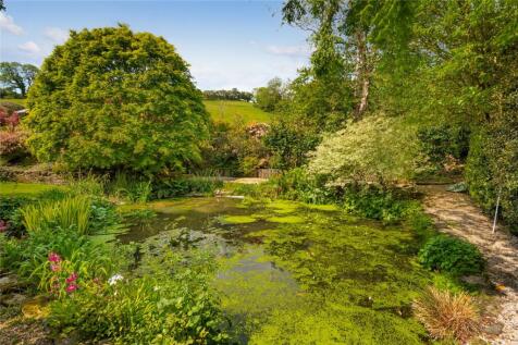 Pond