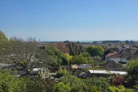 View (3)