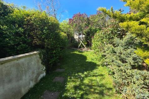 Garden (3)