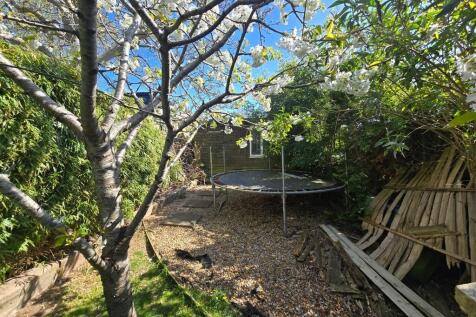 Garden (5)