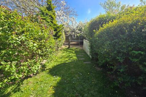 Garden (7)
