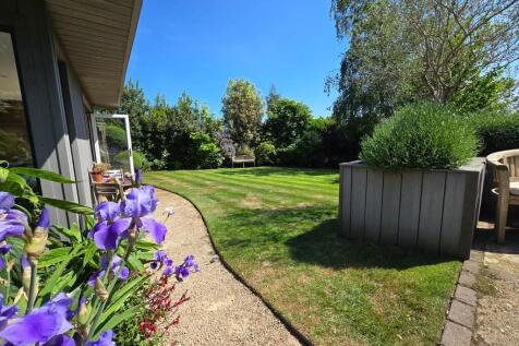 Garden (9)