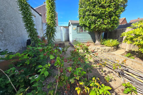 Garden (6)