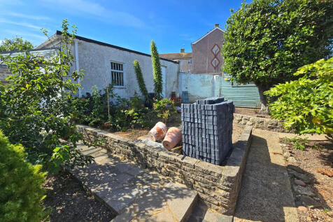 Garden (11)