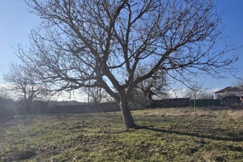 Property Image 65