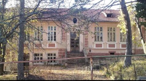 Property Image 13
