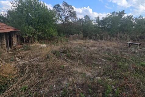 Property Image 58