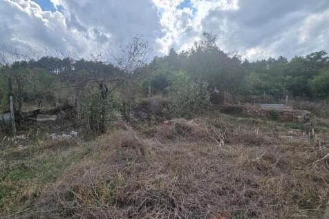 Property Image 63