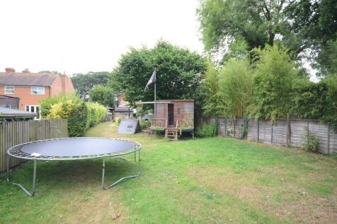 garden_resized.JPG