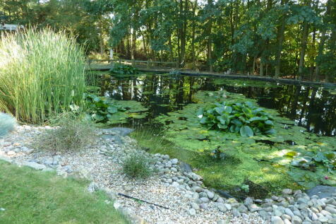 Photo 31