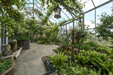 Indoor Plants