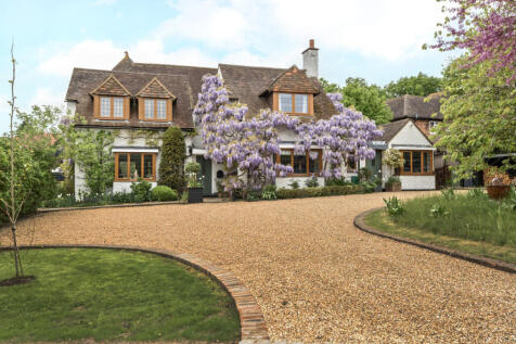 Wisteria Clad