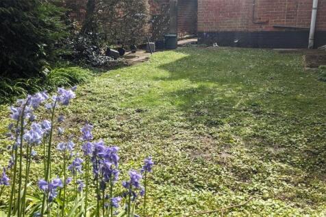 Communal Garden