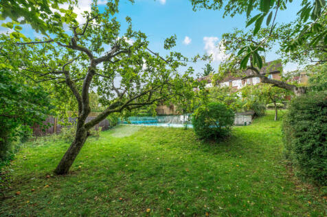Apple Trees