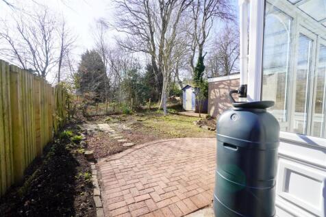 rear garden1.jpg