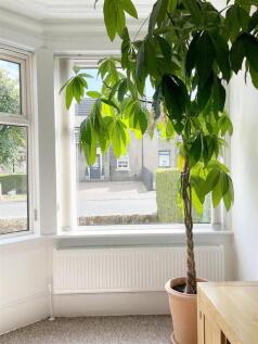 lounge window.jpg