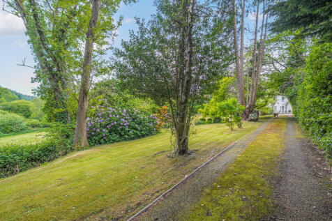 Property Image 49