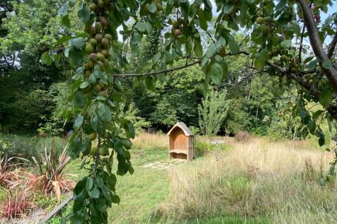 Property Image 29