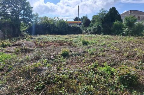 View from rear of plot