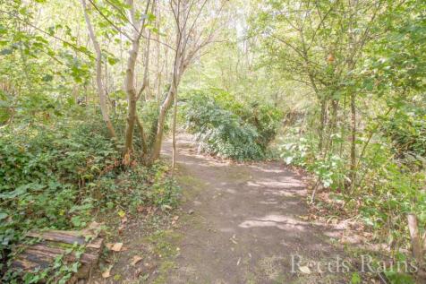 Woodland