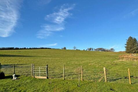Nantwen field.jpg