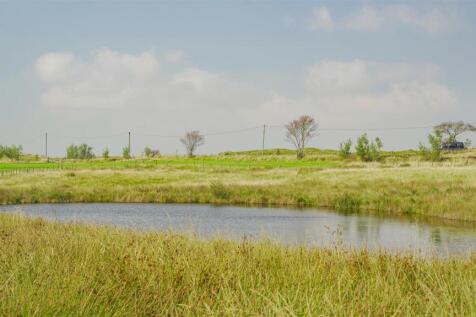 The Land