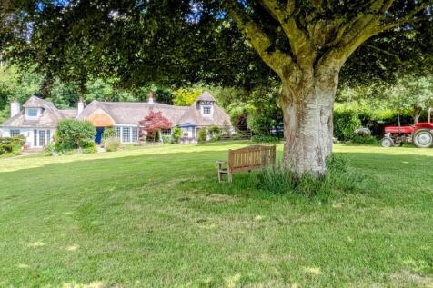 Property Image 41