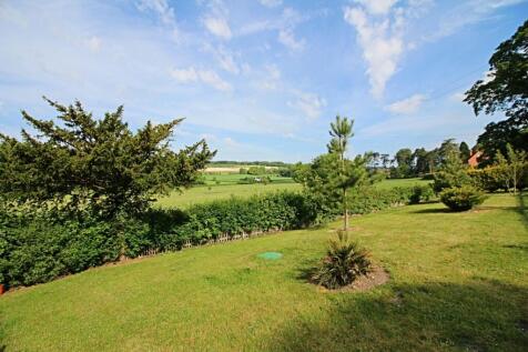 View from Garden