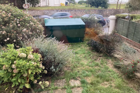 Garden 2020 (now tidier)