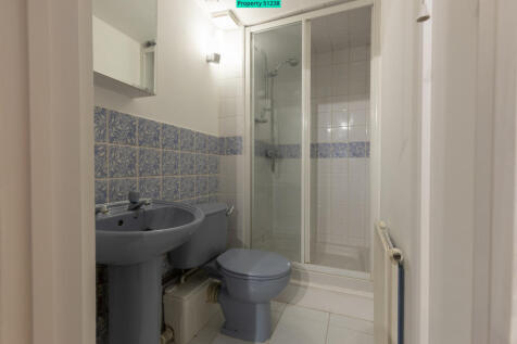Basement Shower Room
