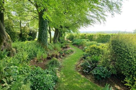 Fern Walk