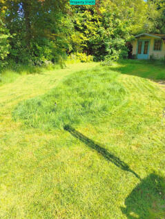 Lawn