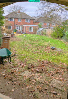Rear garden 2