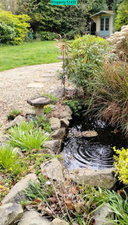 Pond / lawn