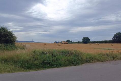 Field View Opposite