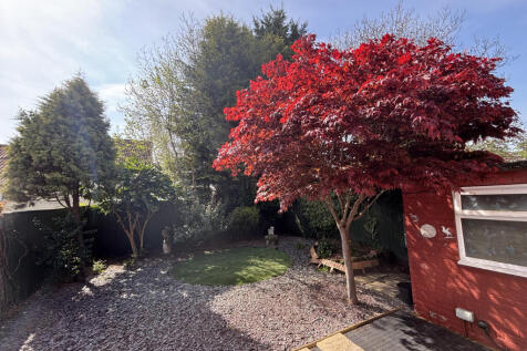 Mature Garden