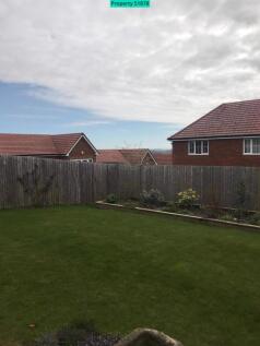 View from kitchen over garden 