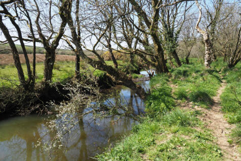 River Torridge, downhill from the lakes and plots