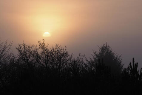 Peaceful dawns
