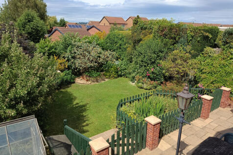 Back Garden