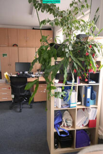 Main office 