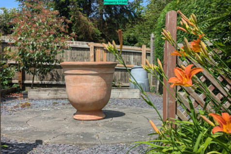 rear garden 3
