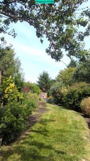 Rear garden 1