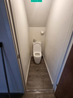 Downstairs toilet