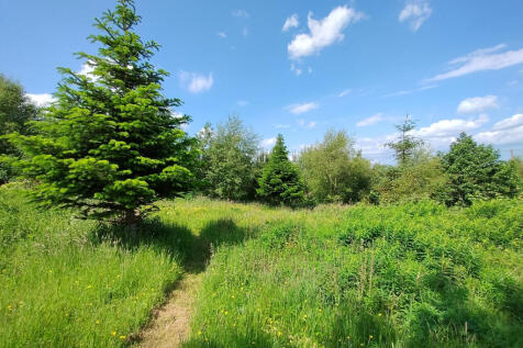 Property Image 39